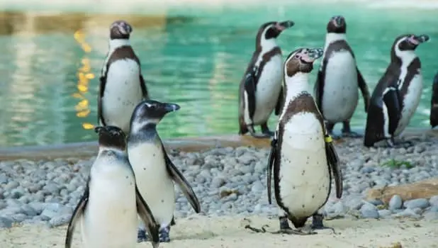 School Holiday Inspiration