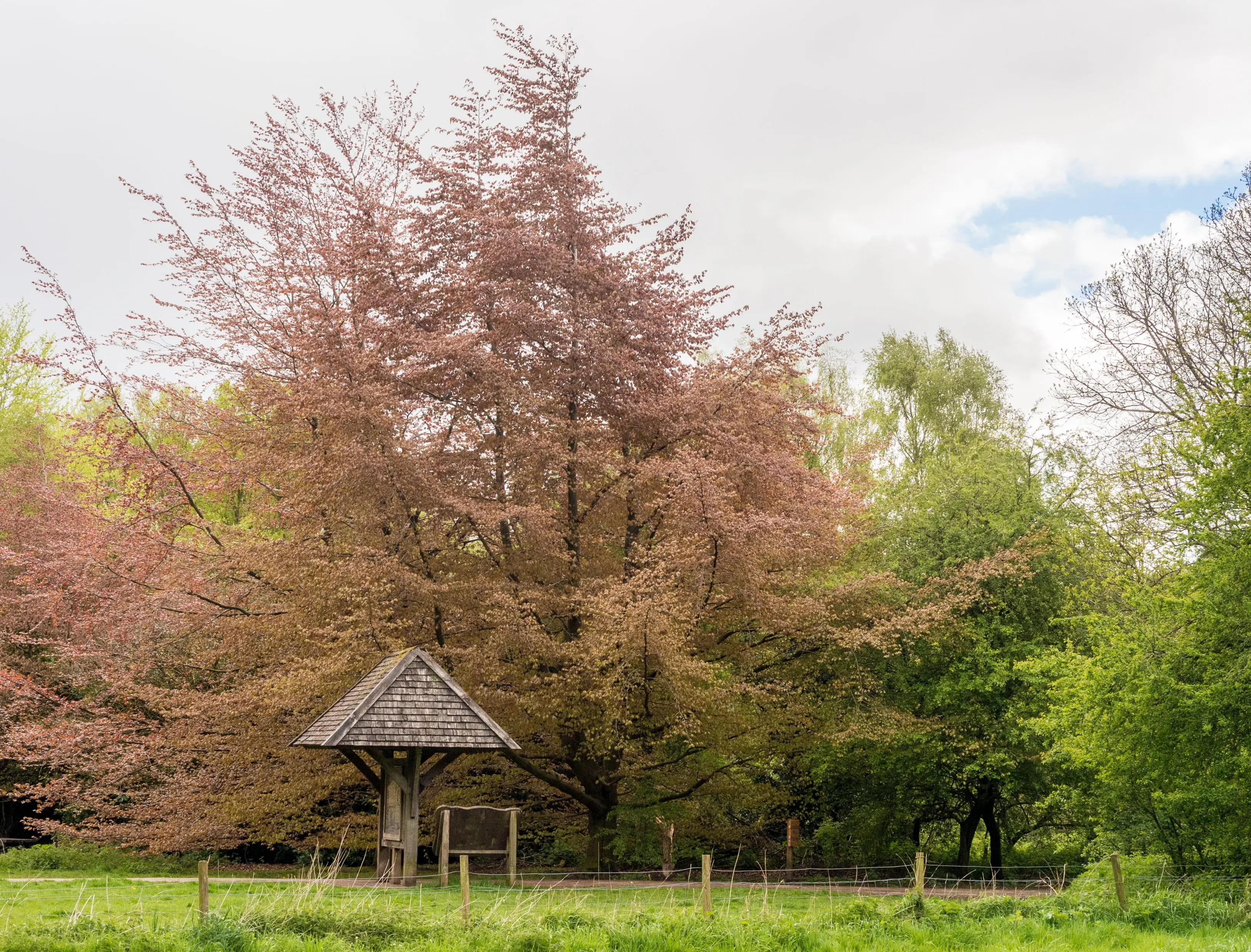 Things to Do in Hartford