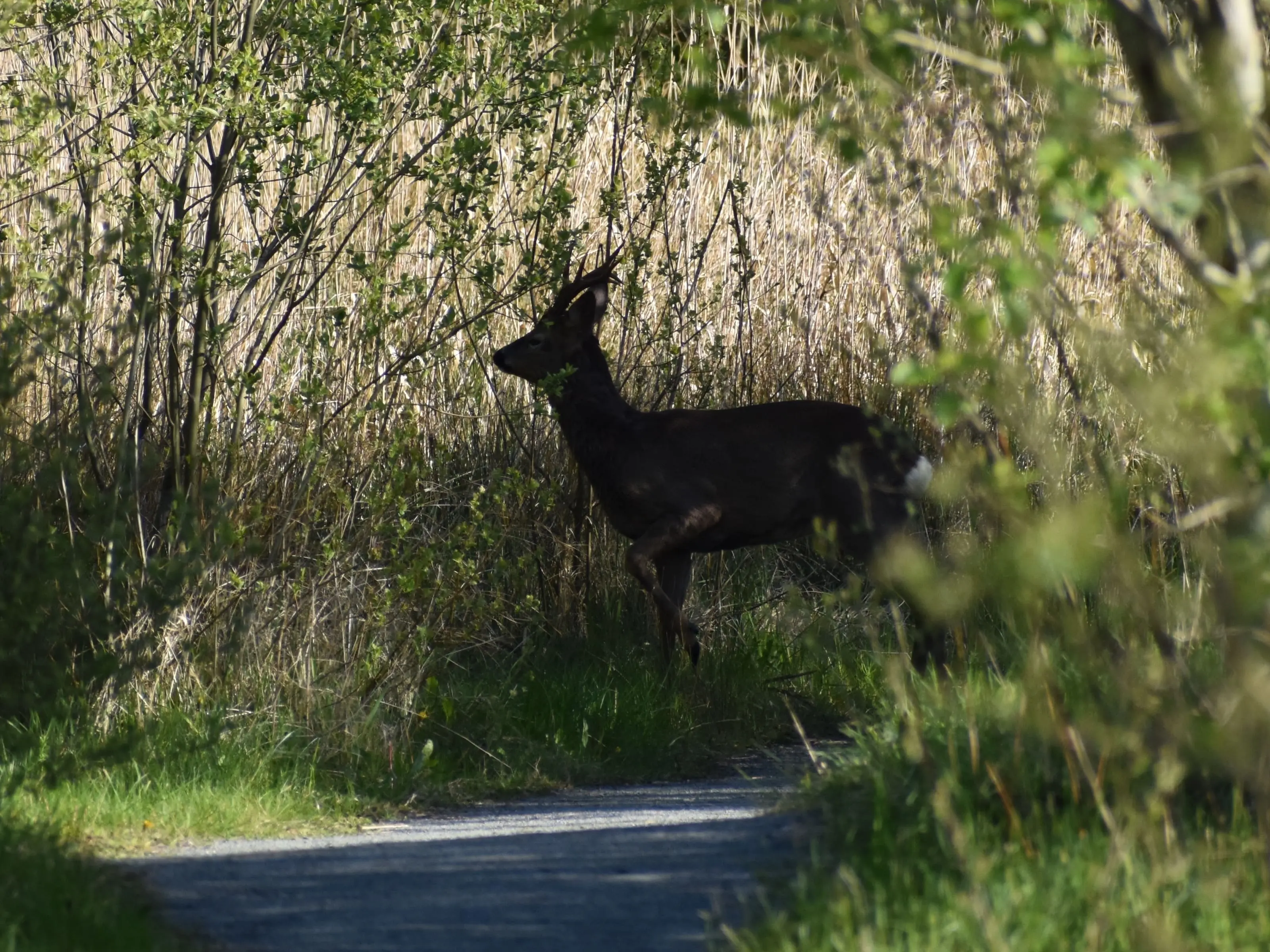 What to see in Preston