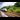 Rail Advertising: A modern high-speed train with a sleek black and yellow design travelling along railway tracks