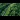 Model Trains: An aerial view of a train passing through an area of greenery