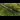 An aerial view of a freight train passing through a forest.