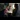 promos