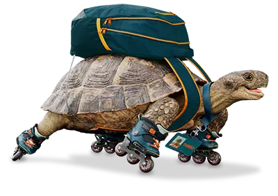 terry-turtole.png