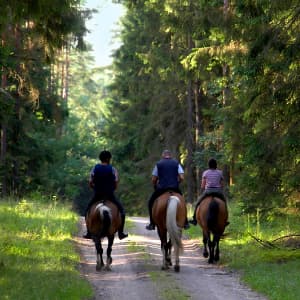 Ride with horses