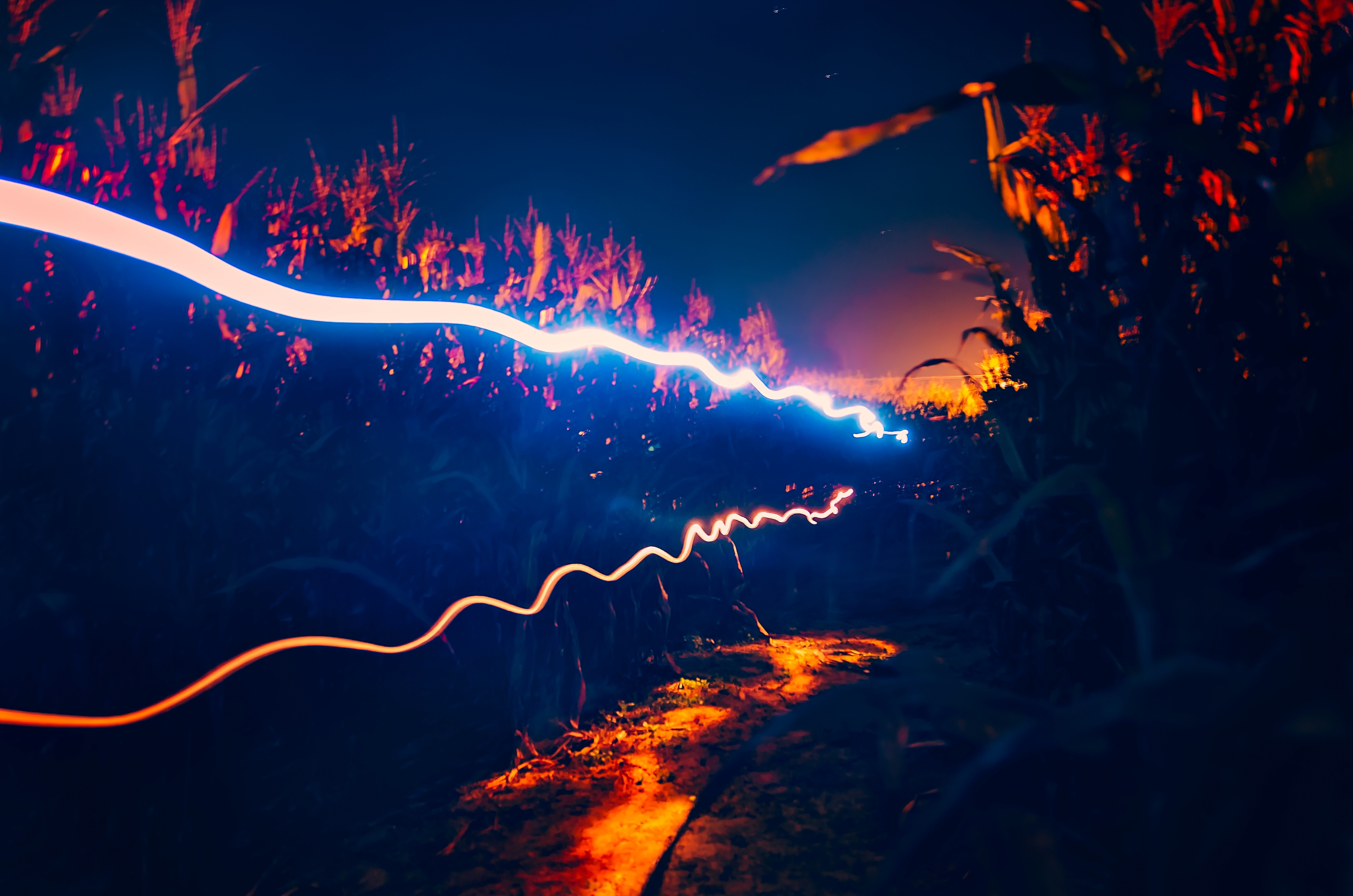 page banner