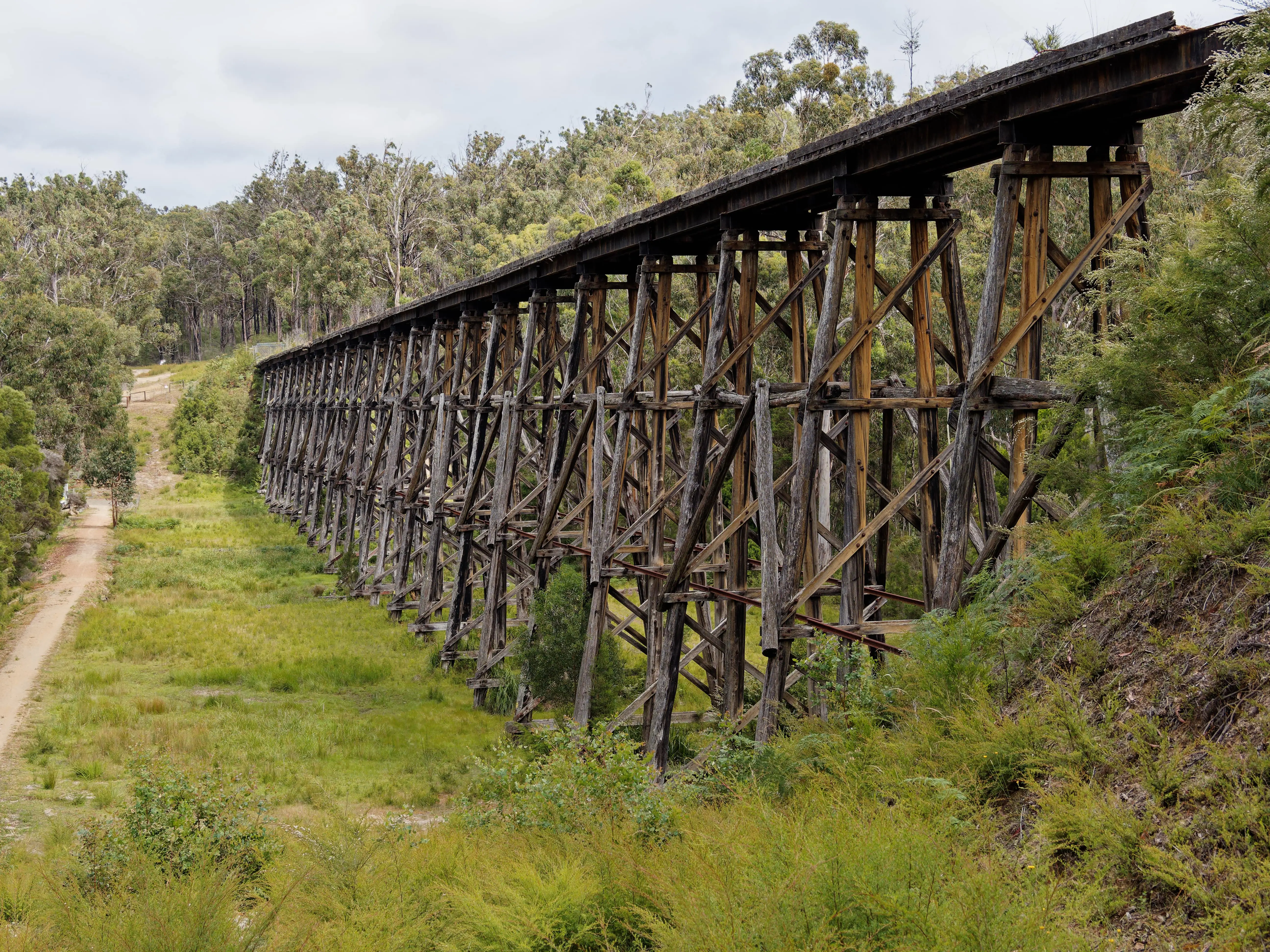 Disused Railway Lines: A weathered wooden railway trestle bridge stretching across a lush green valley, surrounded by dense forest