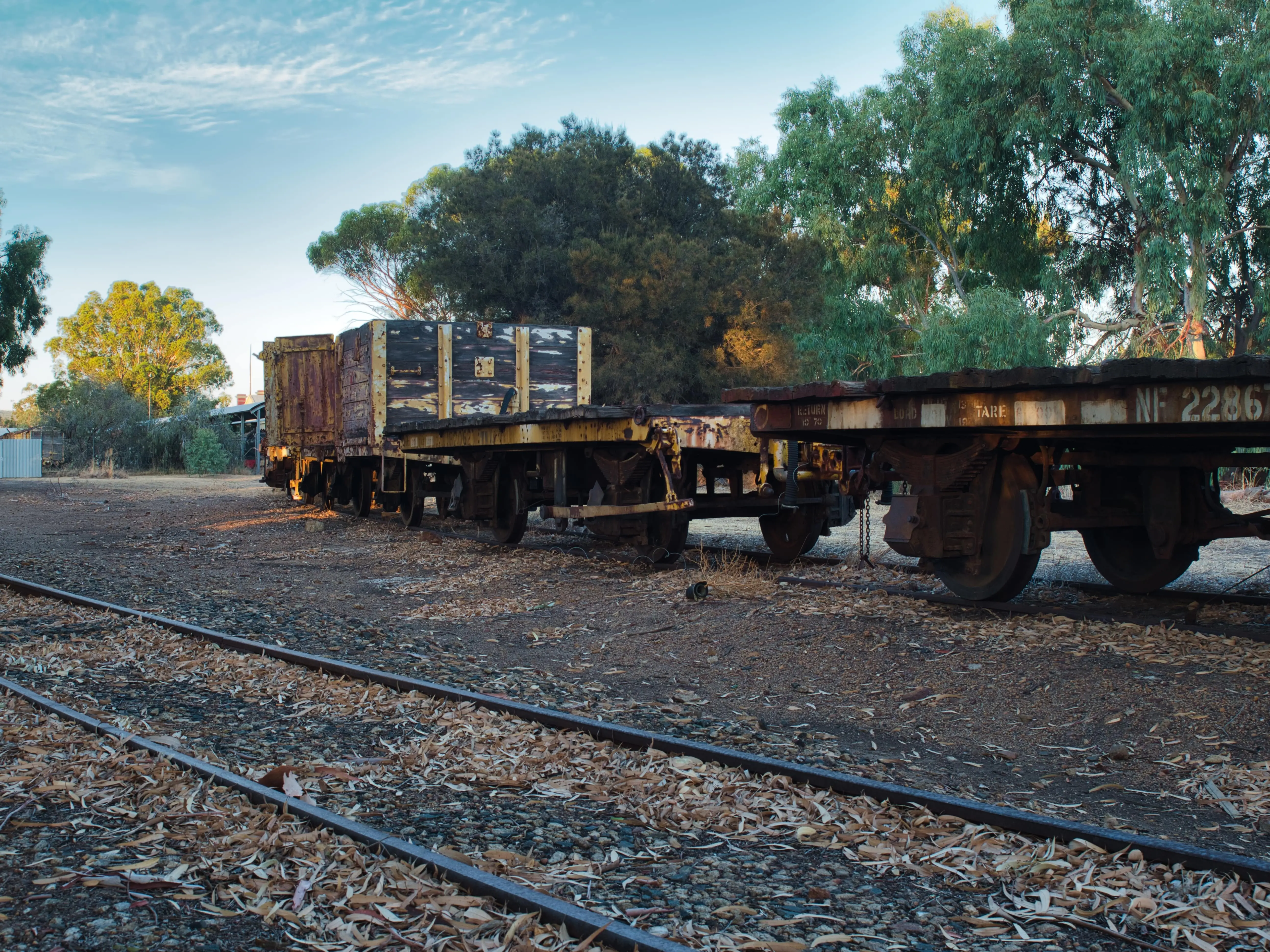 Disused Railway Lines: Abandoned railway freight cars sitting on rusted tracks, surrounded by dry leaves and sparse vegetation