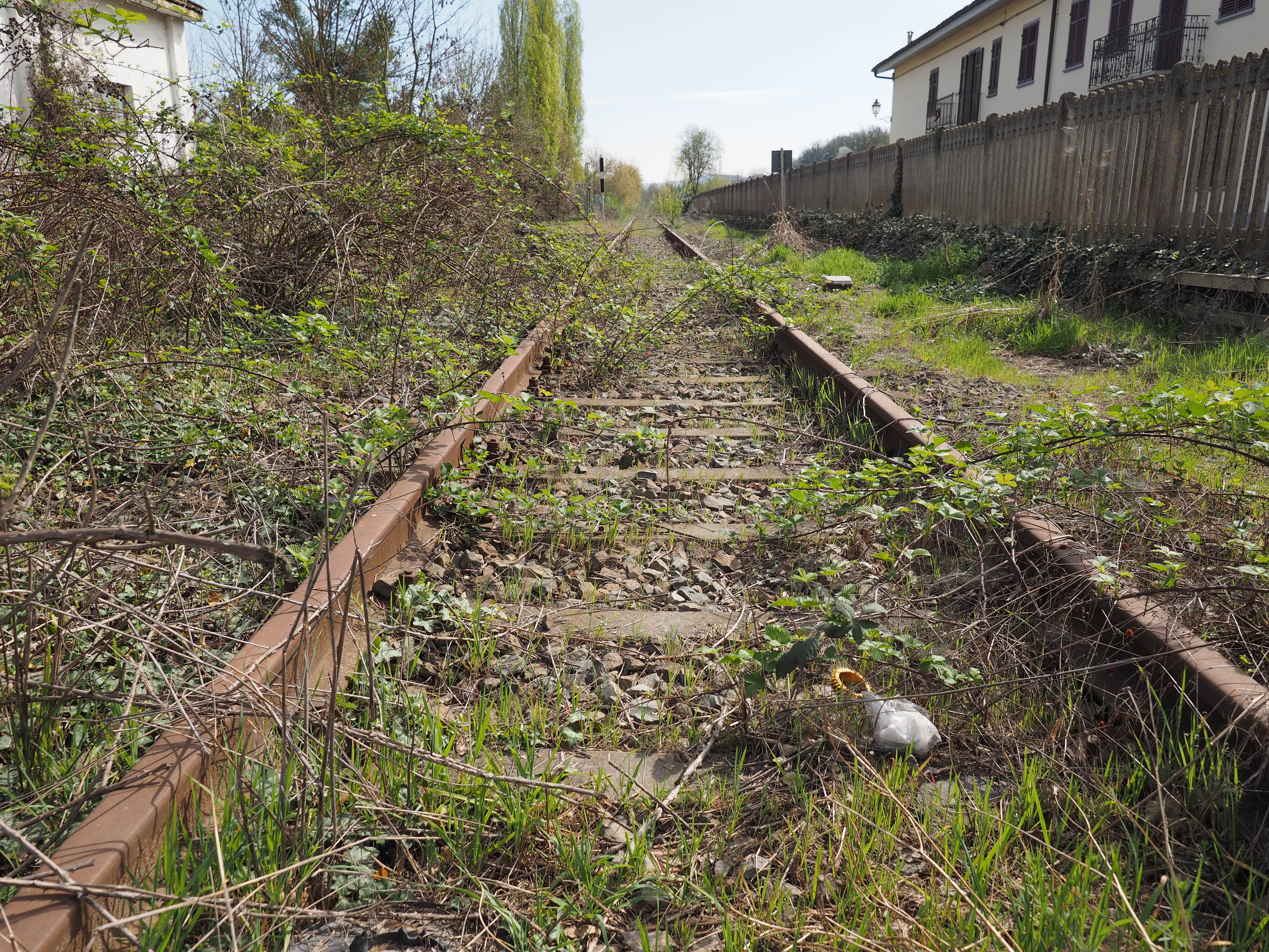 Disused Railway Lines: Overgrown and abandoned railway tracks covered in weeds and debris, running alongside a weathered wooden fence and old buildings