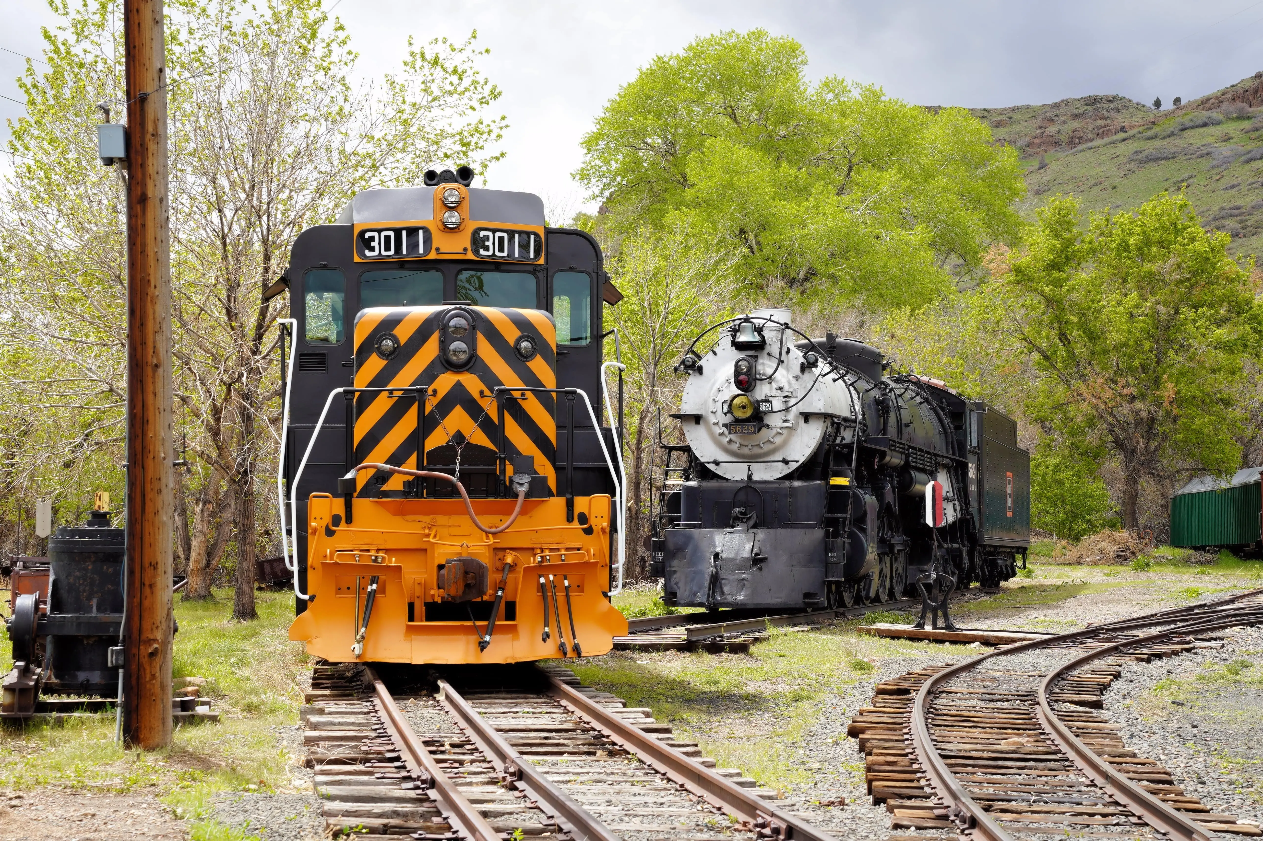 Exploring Type 2 Locomotives