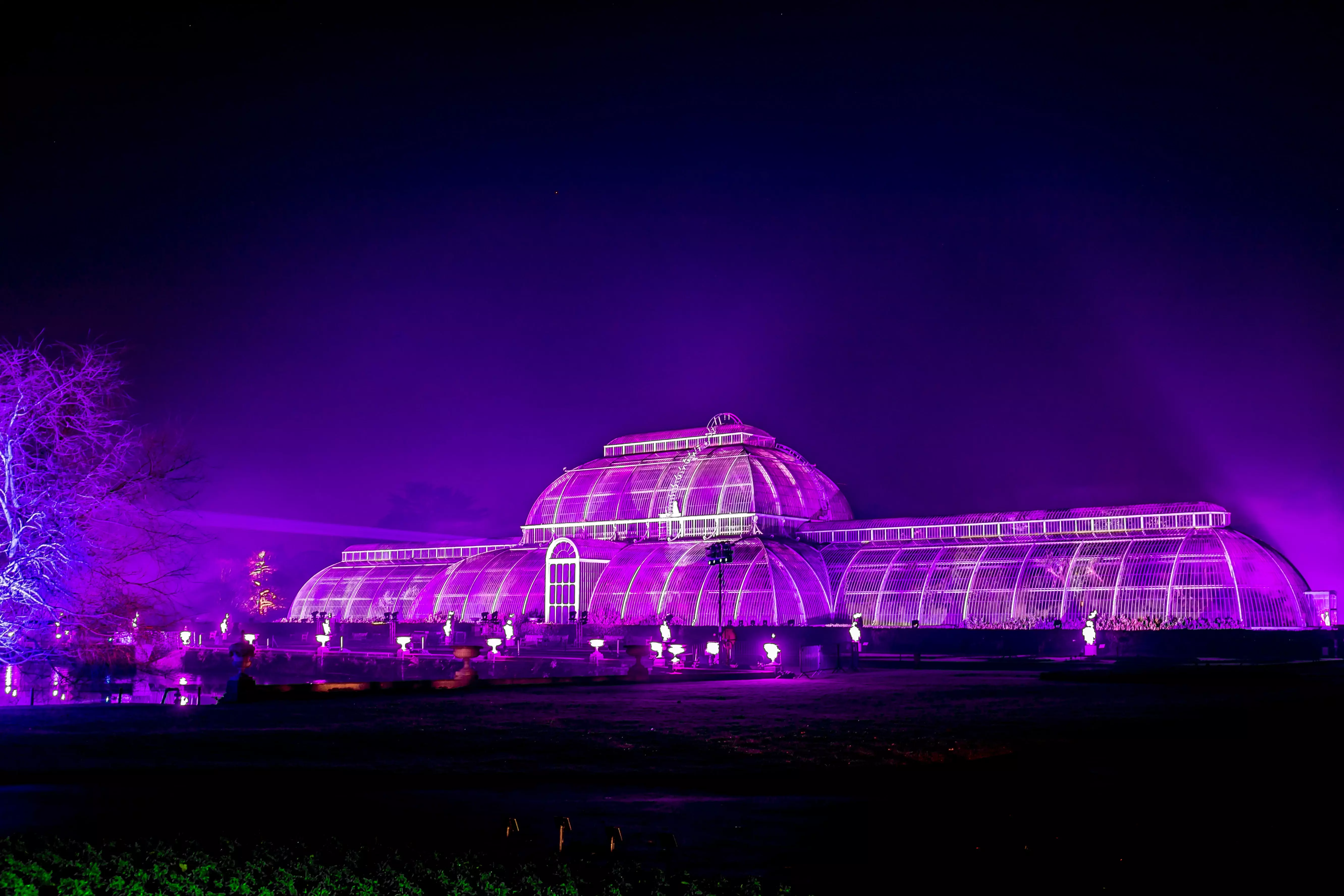 Kew Gardens lit up at Christmas