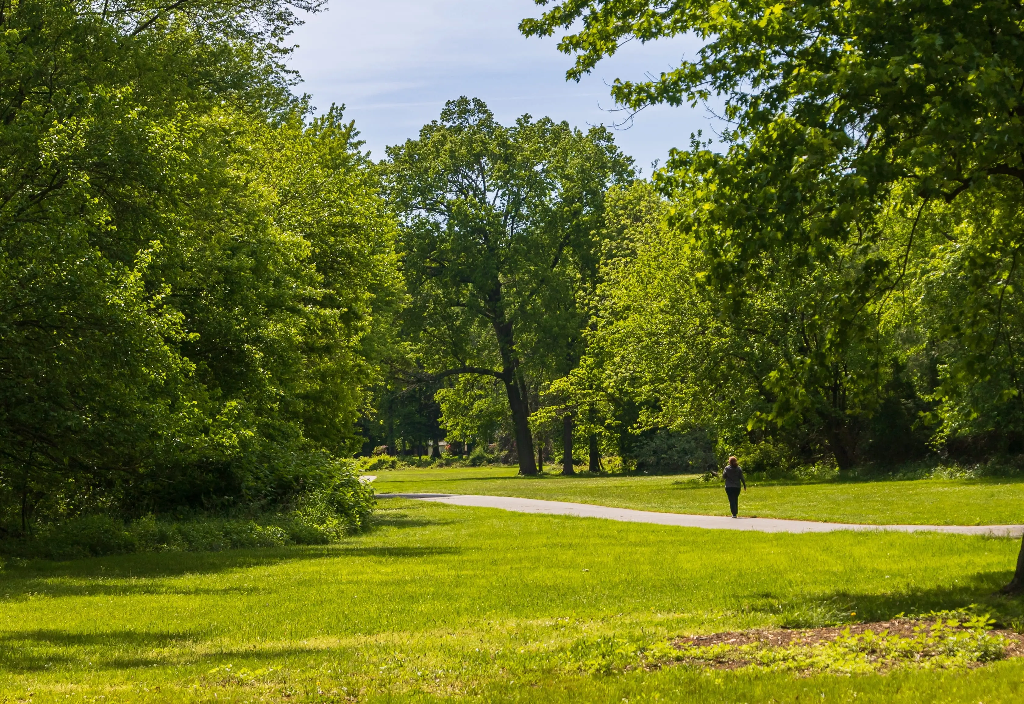 View from a distance of a person walking through a park