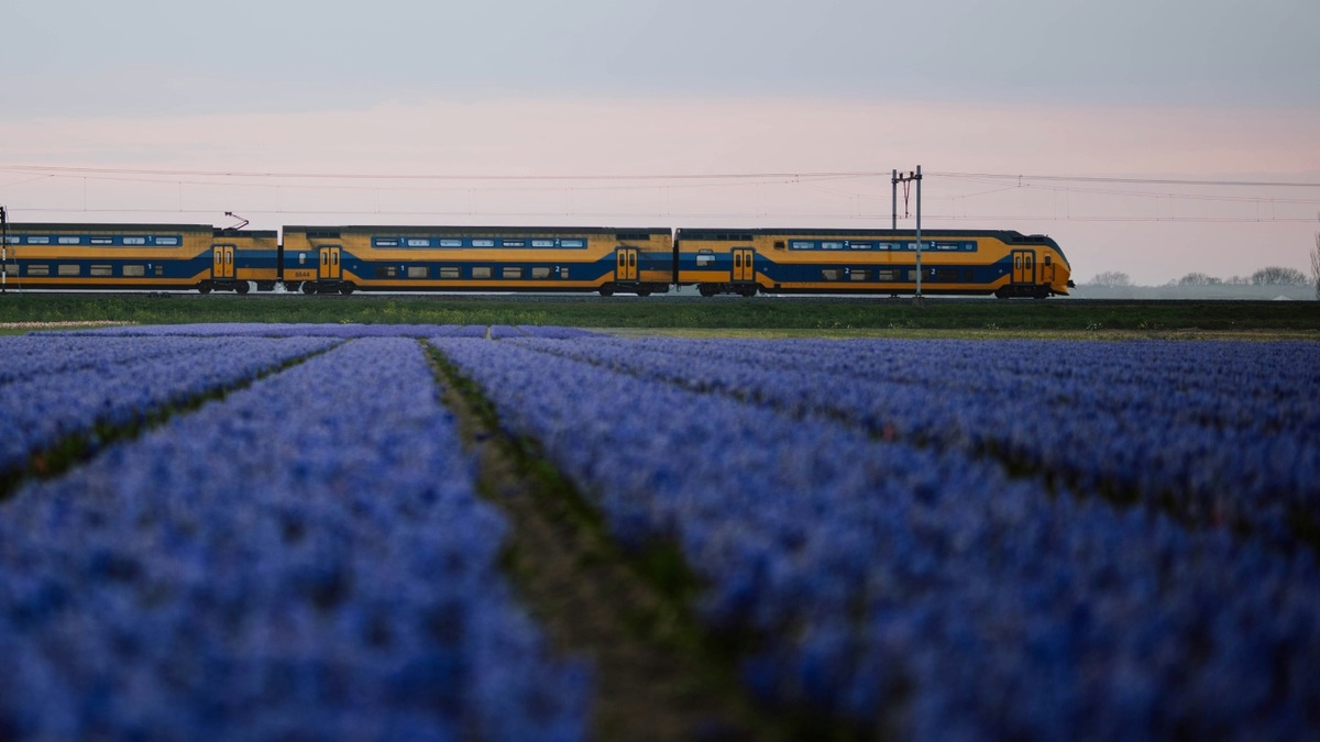 Welcoming the Future of Rail