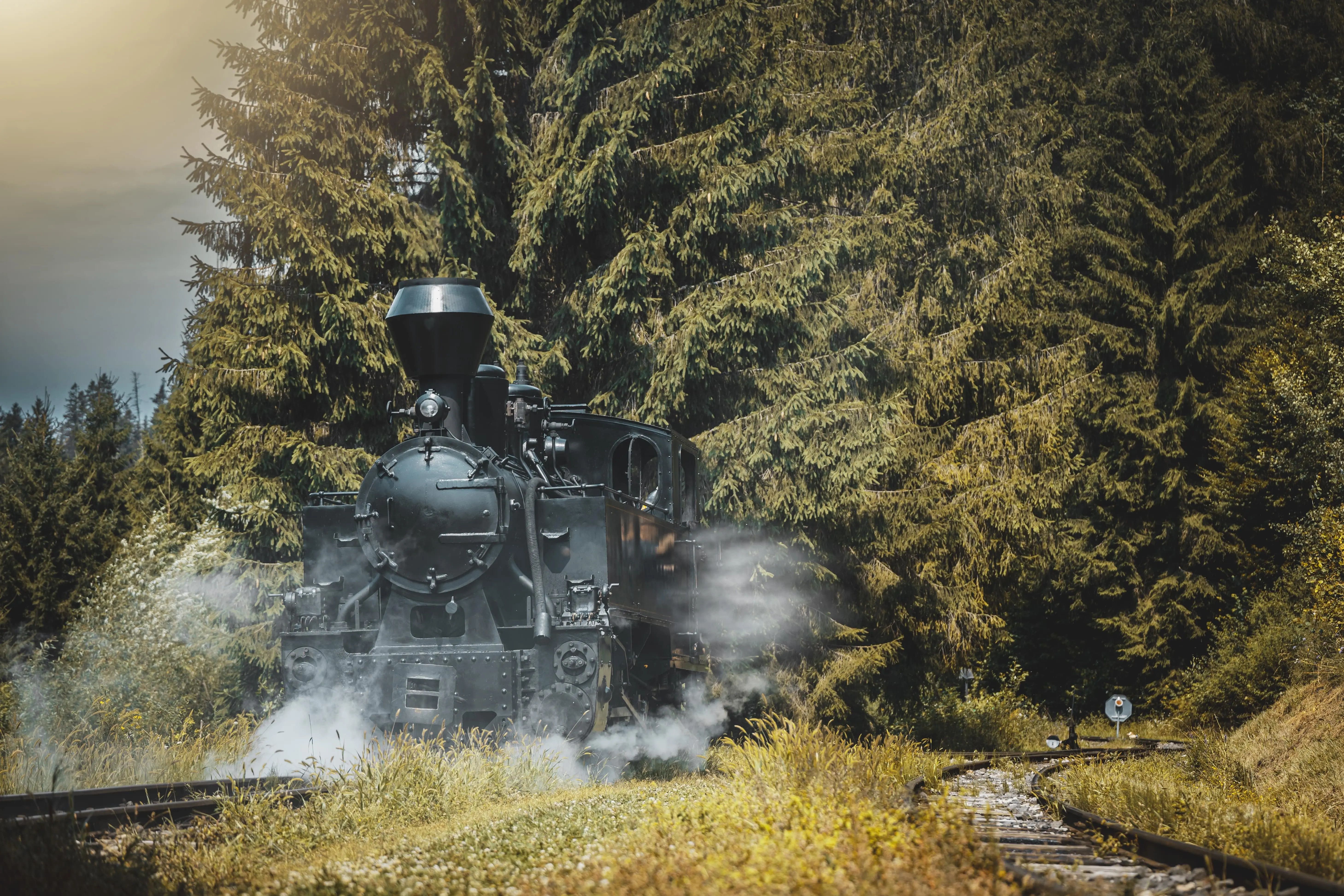 shutterstock_2506397307-min (1)